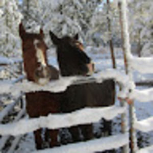 Meet your Posher, Katrina